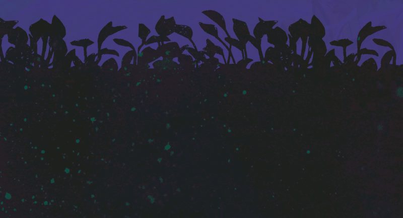 Snippets from the New Murder Mystery in Town