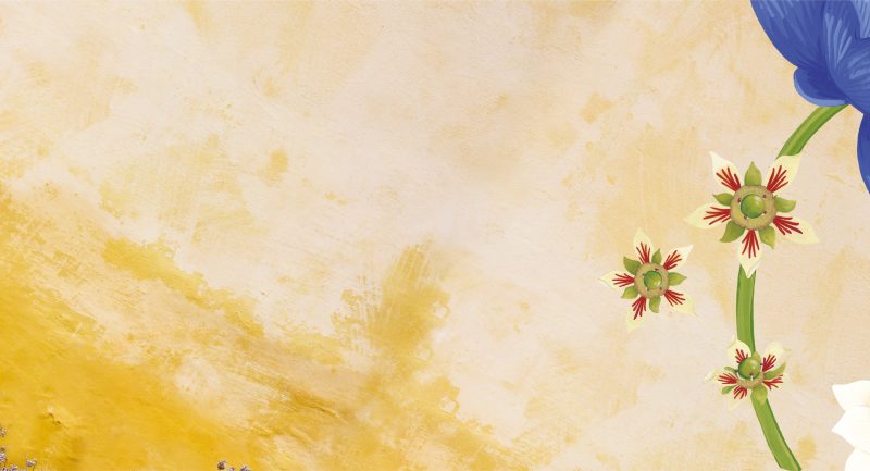 The Struggle between Kama Pessimists, Optimists and Realists