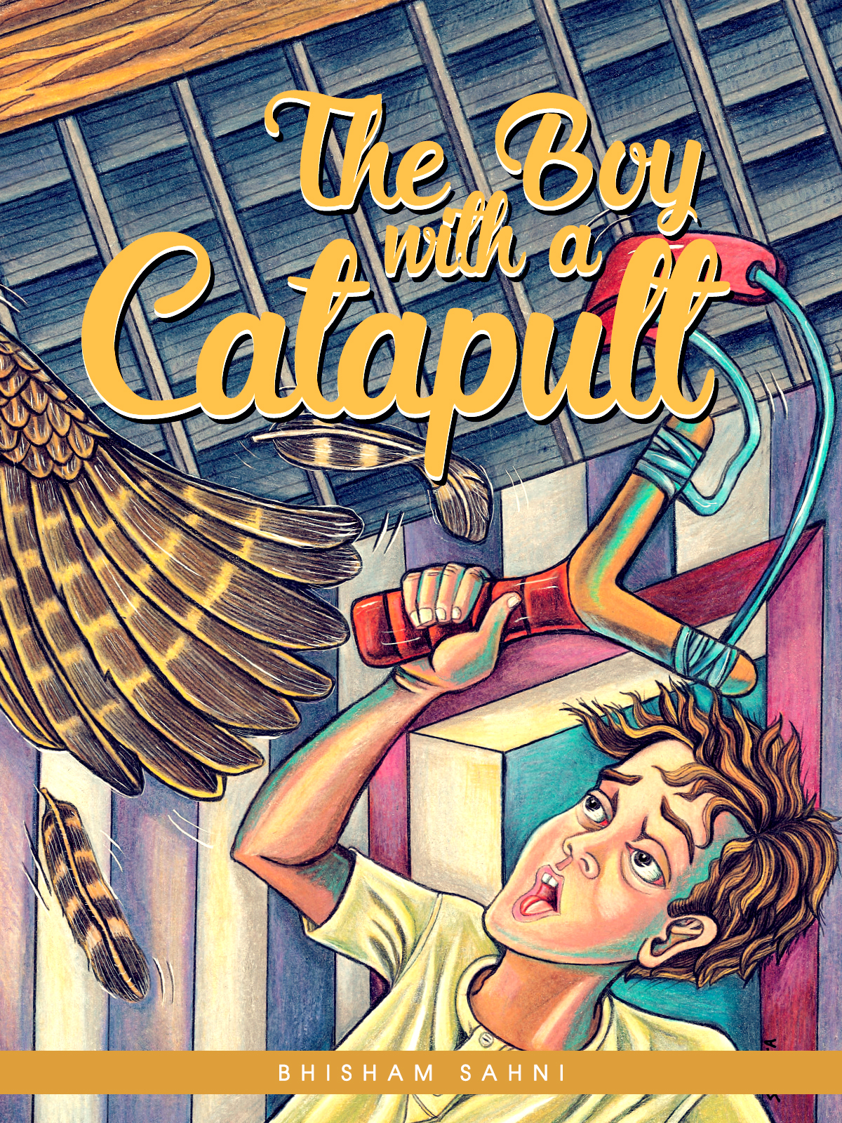 The Boy with a Catapult