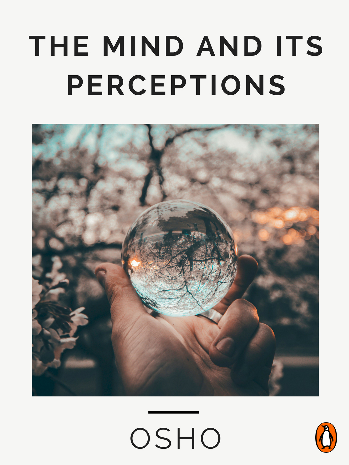 The Mind and its Perceptions