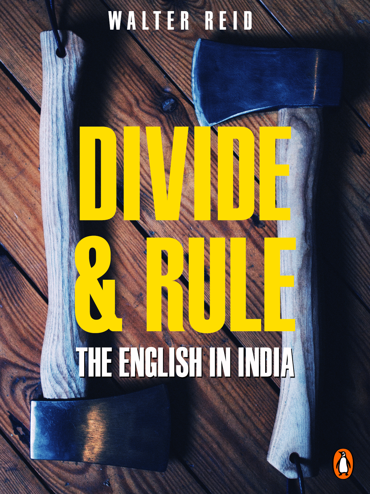 divide-and-rule-penguin-random-house-india