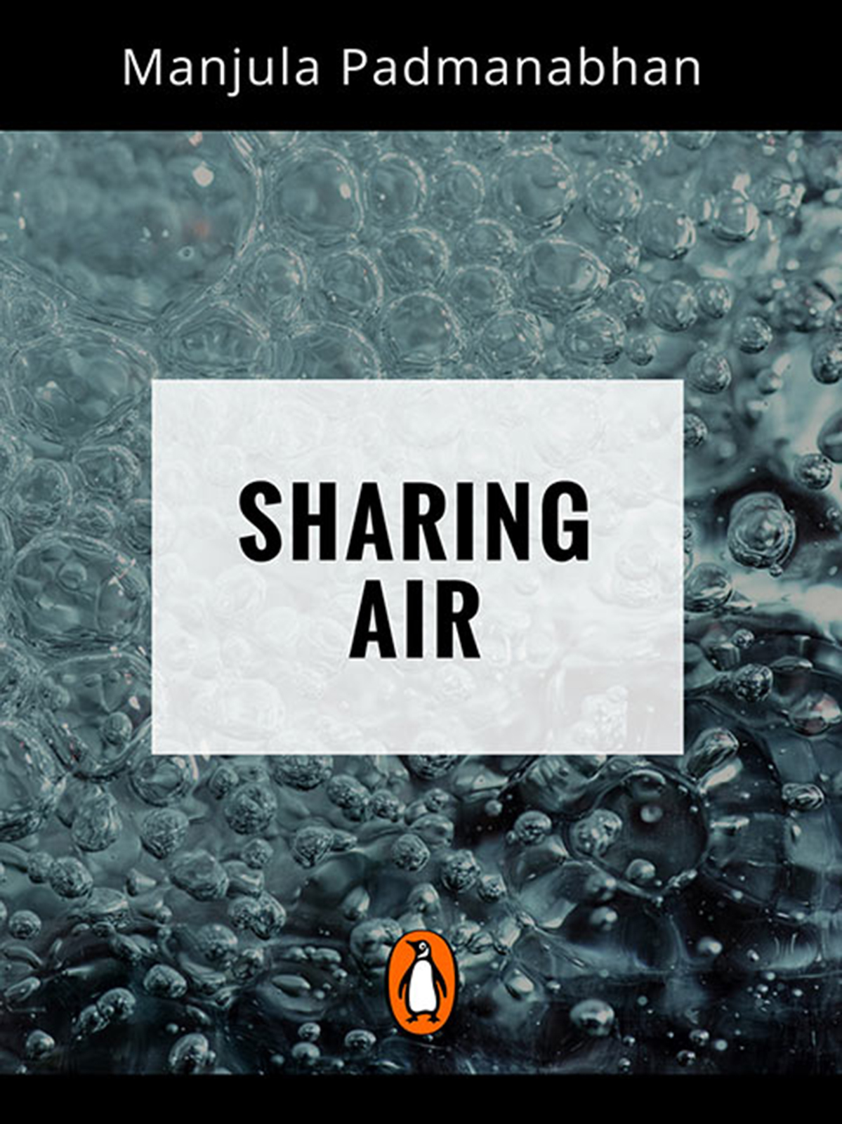 Sharing Air