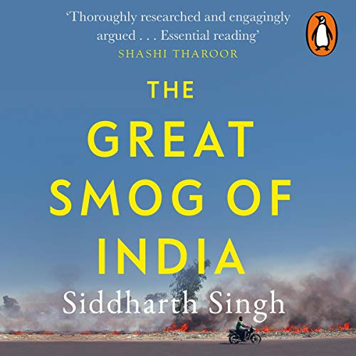 The Great Smog of India