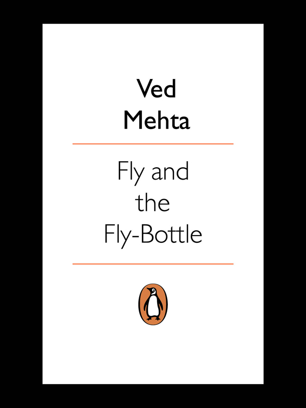 Fly and the Fly-Bottle