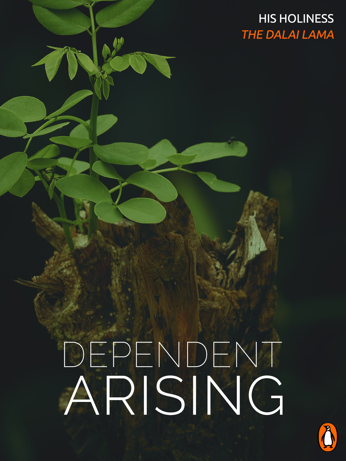 Dependent Arising