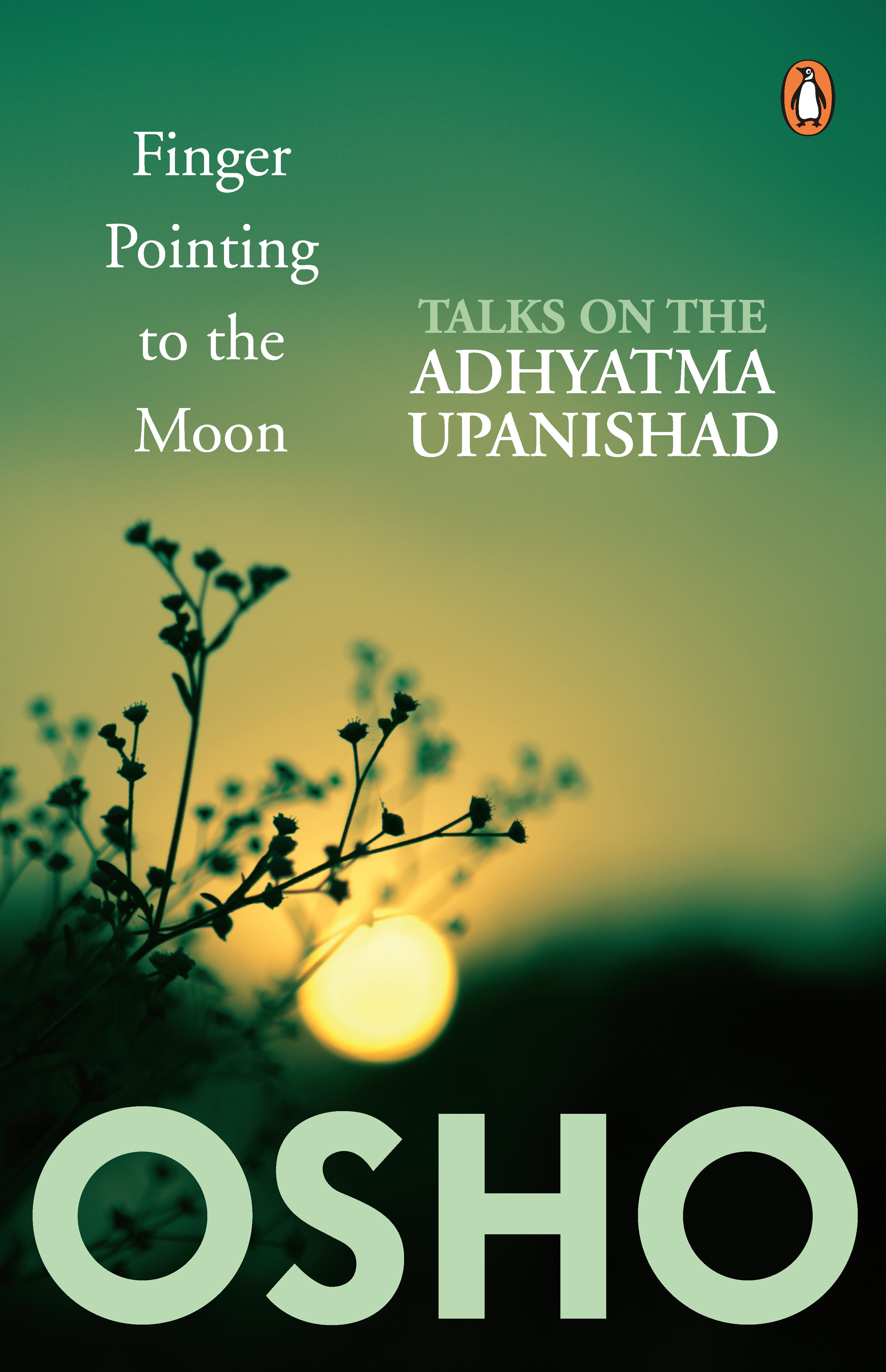 Finger Pointing To The Moon