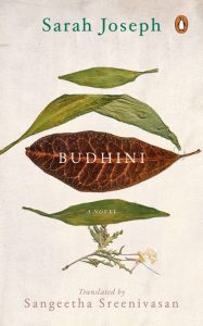 Budhini Mejhan Front Cover of Budhini
