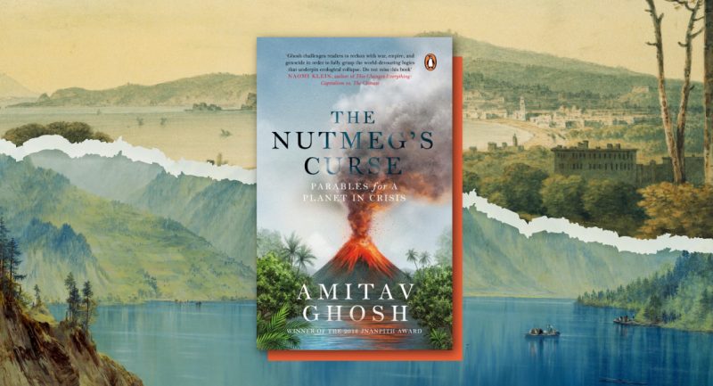 Exploring Nutmeg's Tumultuous History