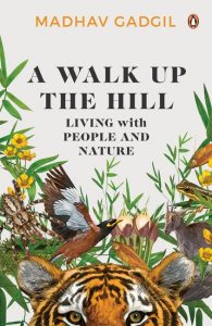 A Walk Up The Hill