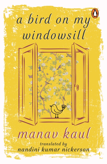 A Bird on My Windowsill