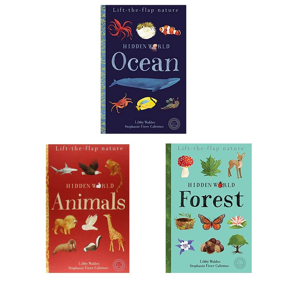 Hidden World Series Lift-the-Flap 3 Books Collection Set (Forest, Animals and Ocean)