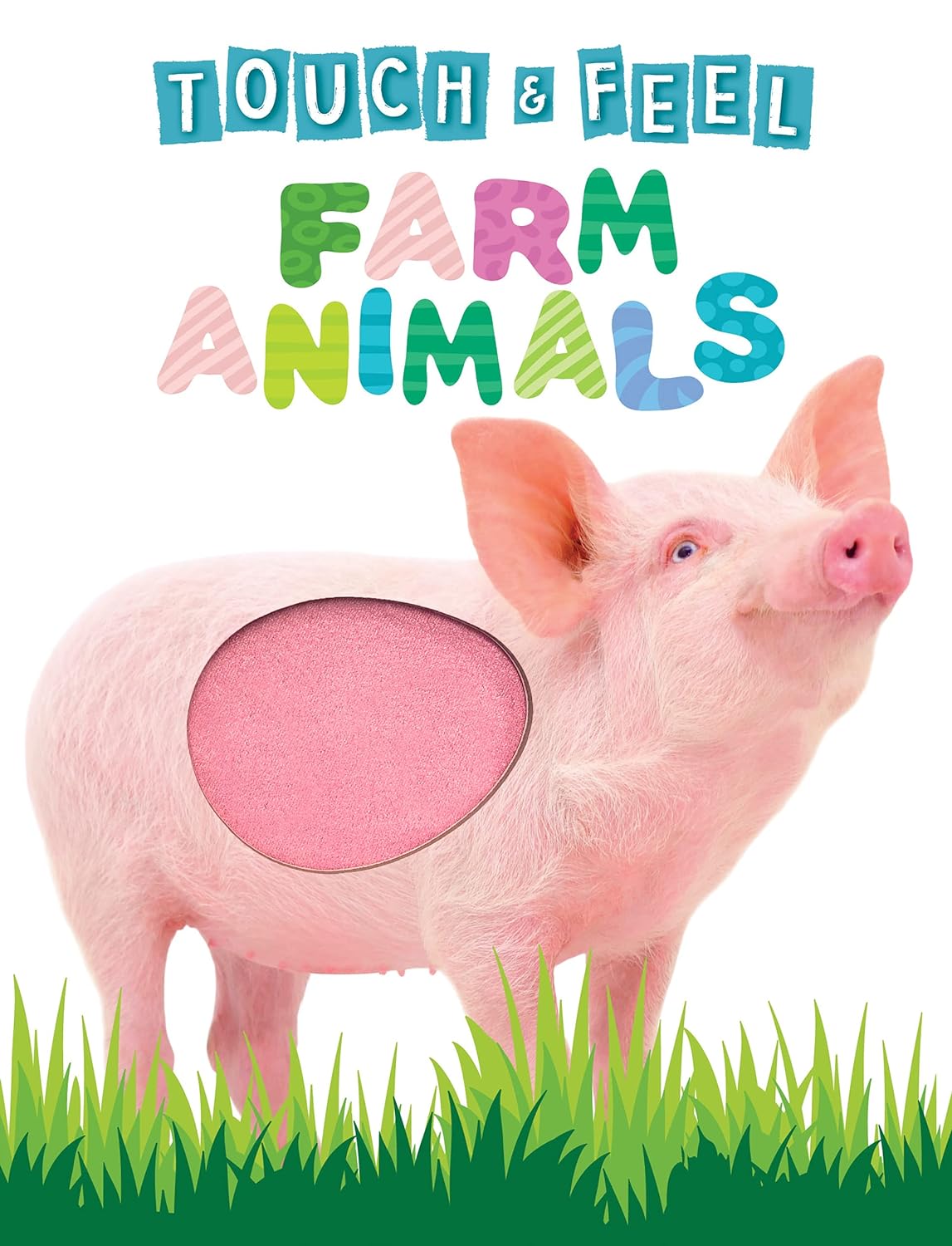 Farm Animals Touch and Feel Book