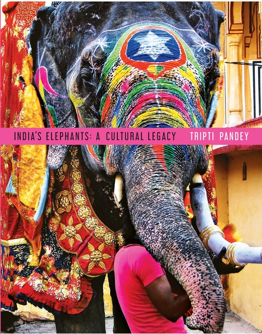 India’s Elephants