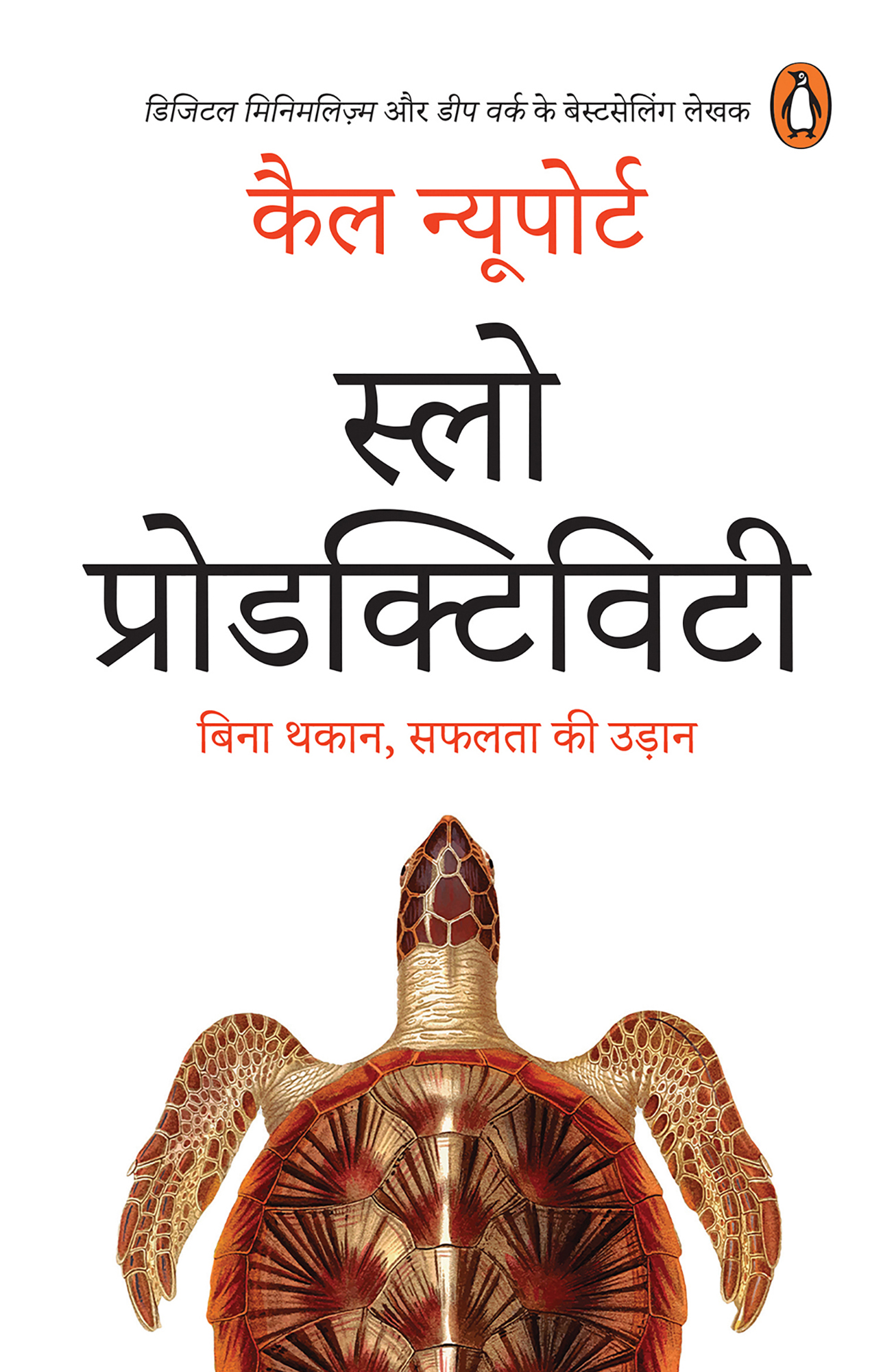 Slow Productivity (Hindi) / स्लो प्रोडक्टिविटि