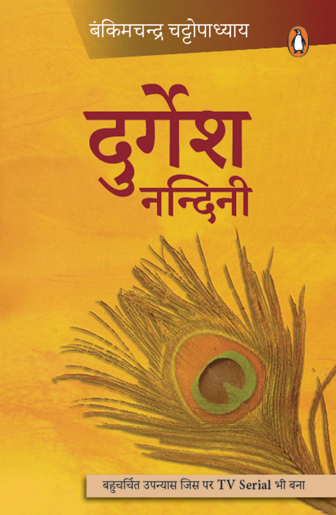 Durgesh Nandini/दुर्गेश नन्दिनी