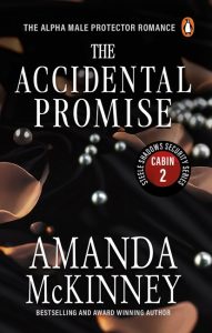 The Accidental Promise (Steele Shadows Securities Series Cabin 2)