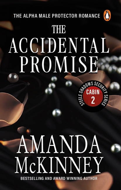 The Accidental Promise (Steele Shadows Securities Series Cabin 2)