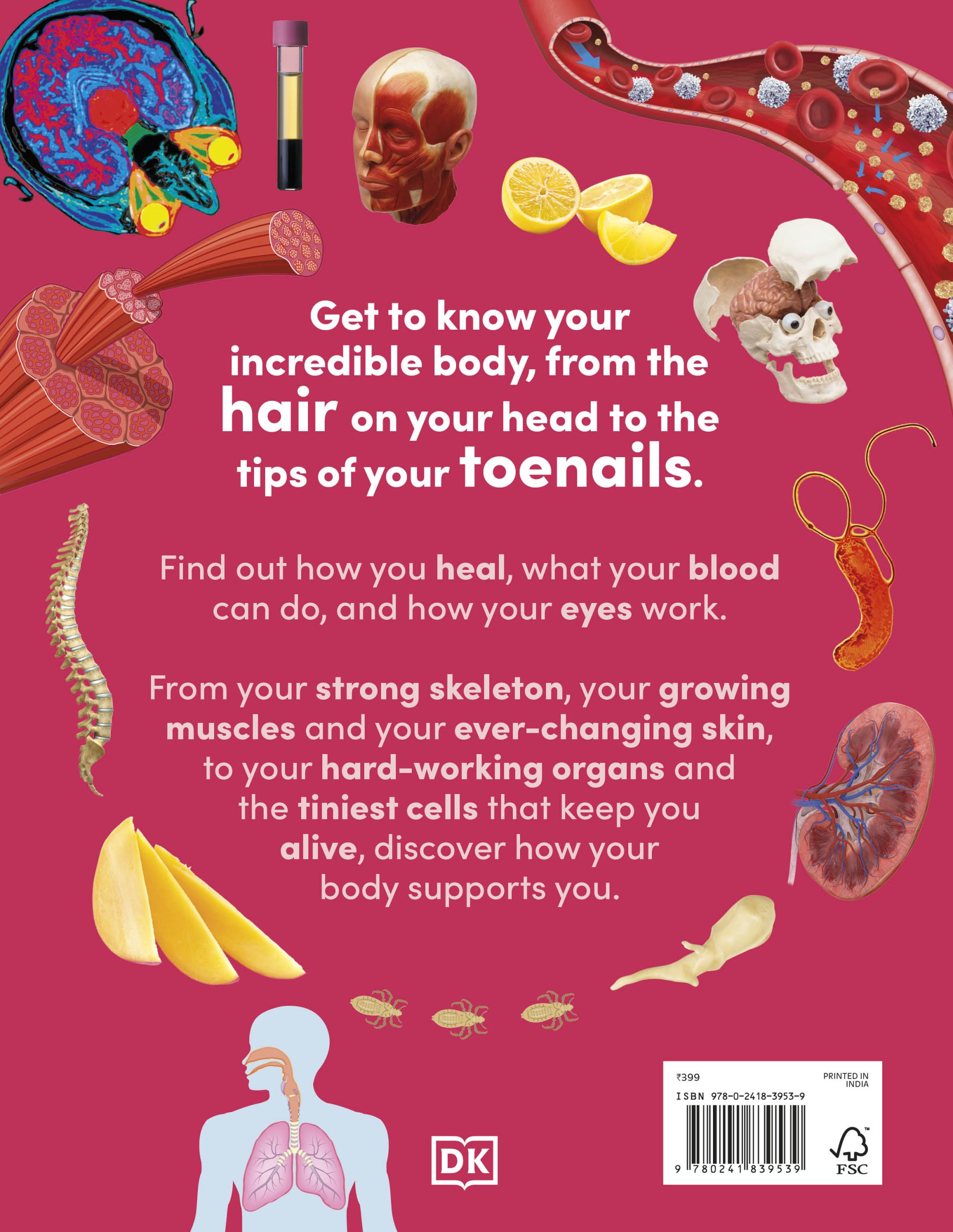 Eyewonder Human Body