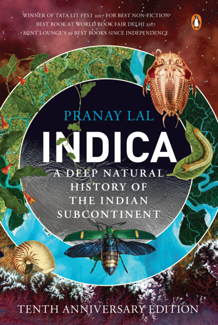 Indica